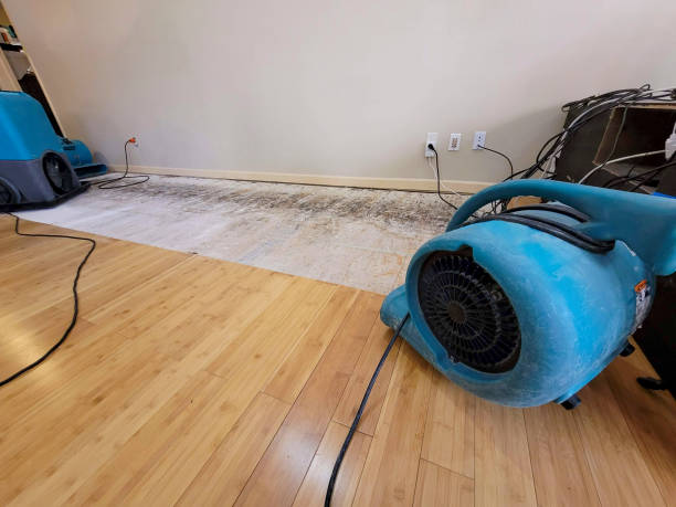 Professional Flood Damage Cleanup technician working in Wildwood, TN